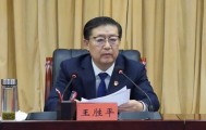 新疆生产建设兵团王胜平，被查