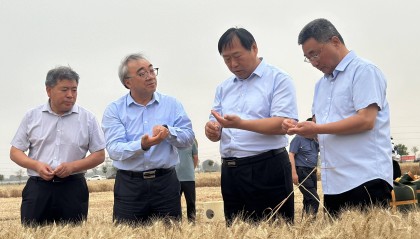 高产“延津模式”吸引众多农业“大咖”