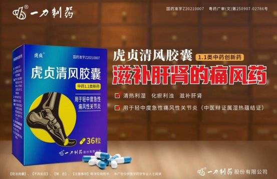 一力制药集团论道长安，携手医界大咖共克痛风顽疾
