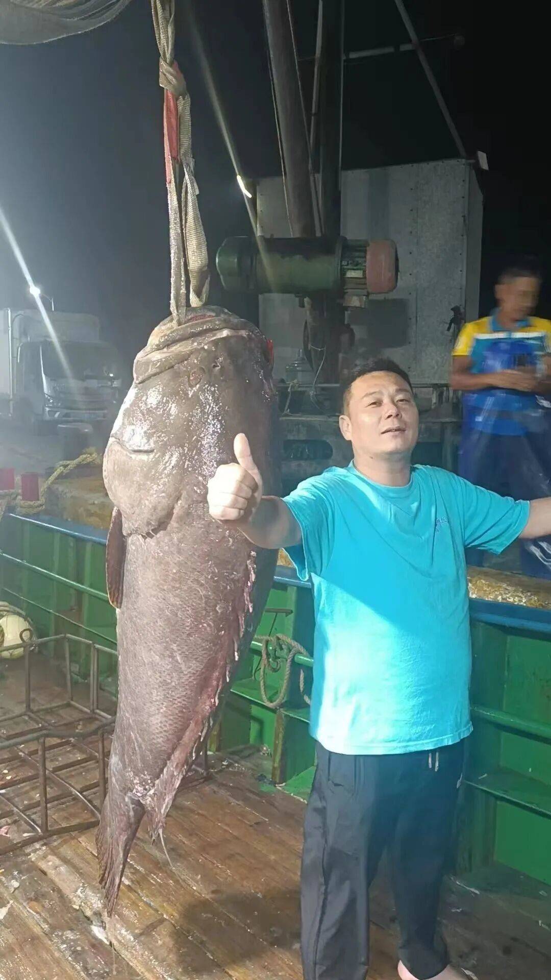 长1.8米、重250斤，福建一渔民捕获一条巨型石斑“鱼王”，卖出了34500元