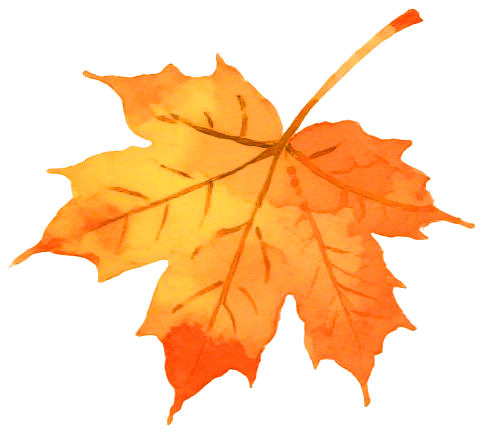 林区市场监管局开展《个体工商户登记管理规定》专题培训会