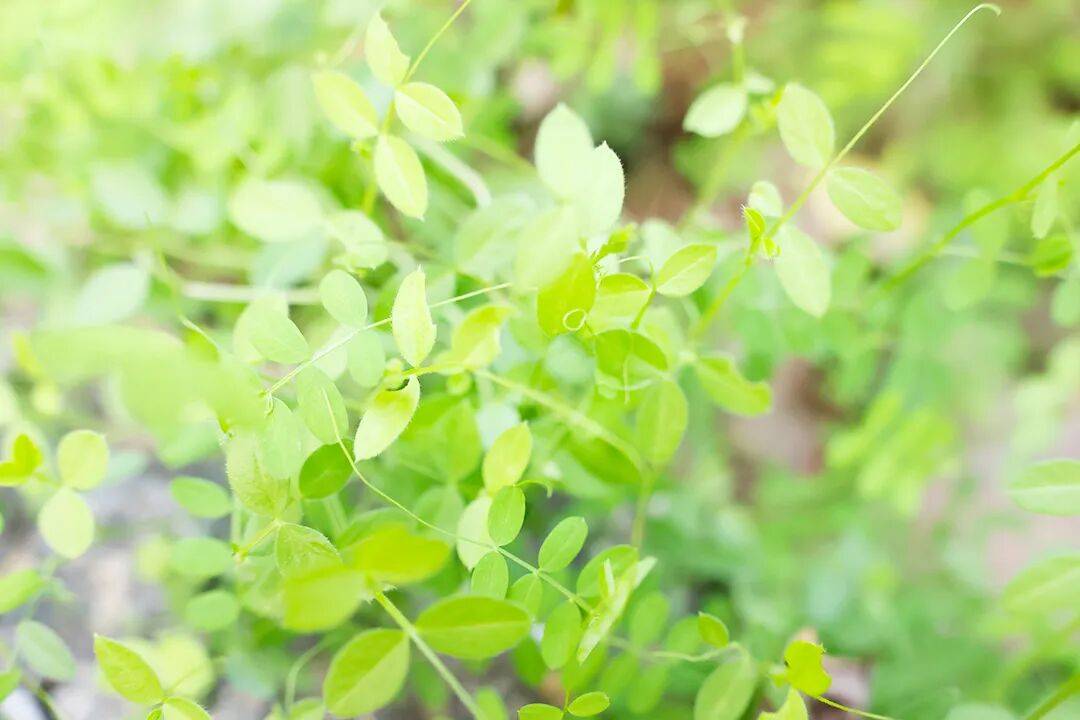 请注意，风雨来了！
