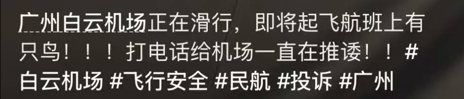 海南航空一飞机起飞滑行时一只鸟停在机翼上，广州白云机场：临时停靠一会儿就飞走了