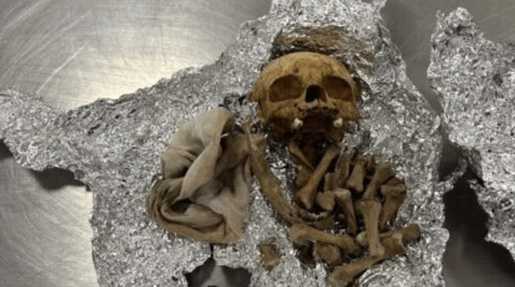 美国机场海关在一乘客行李中查获人类头骨，乘客：是用于举办仪式；官员：存在卫生风险，已没收并销毁