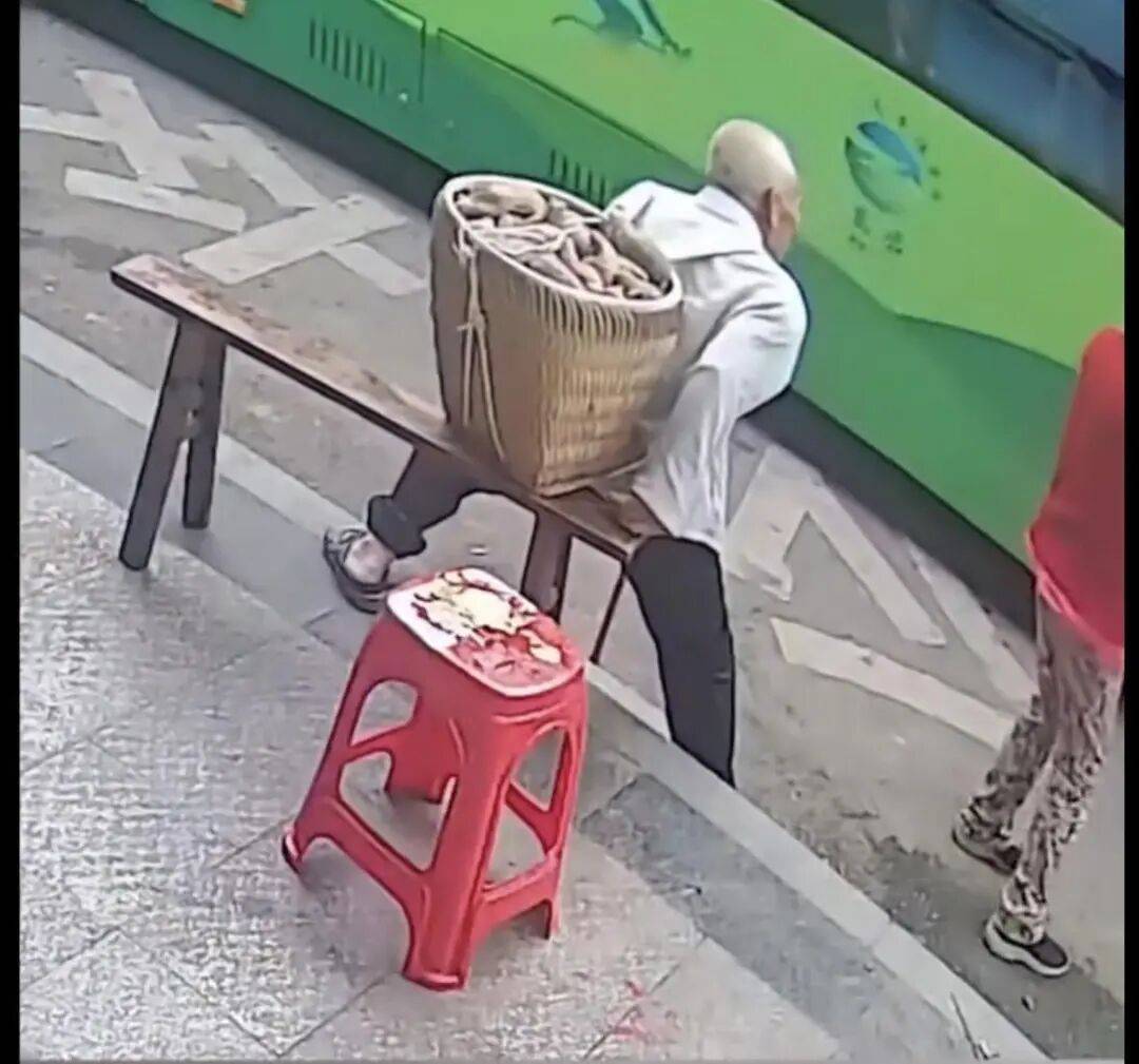 重庆一背篓老人等公交被拒载，交通运输局：涉事司机已被开除