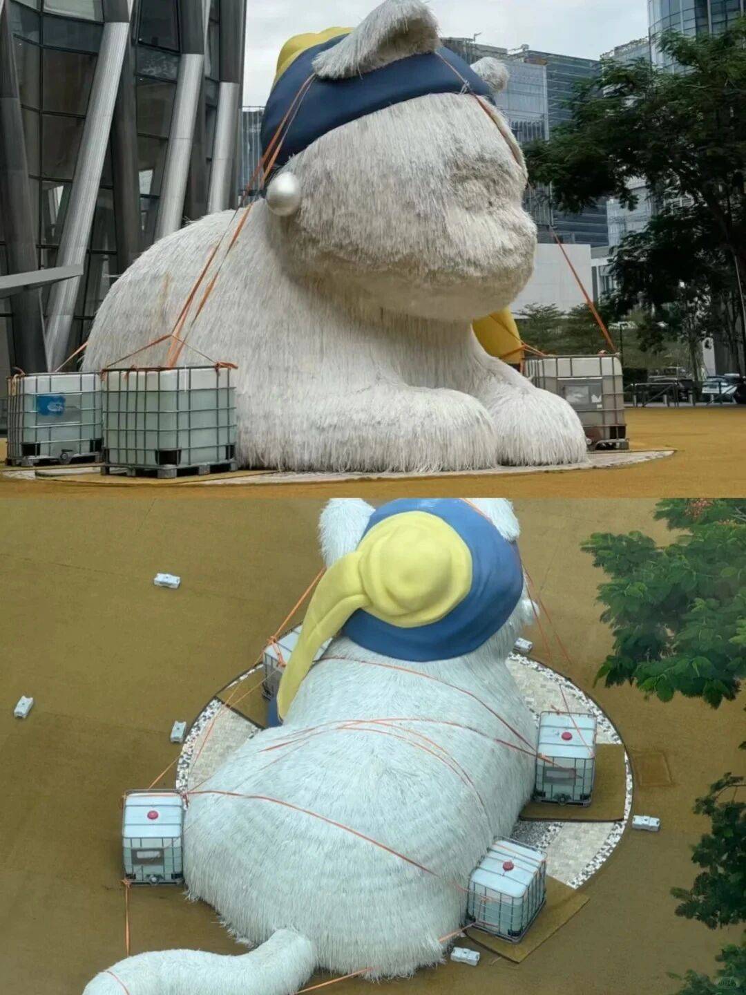 个头大过广东！谨防风王“桦加沙”，深圳人太硬核！这些务必码住