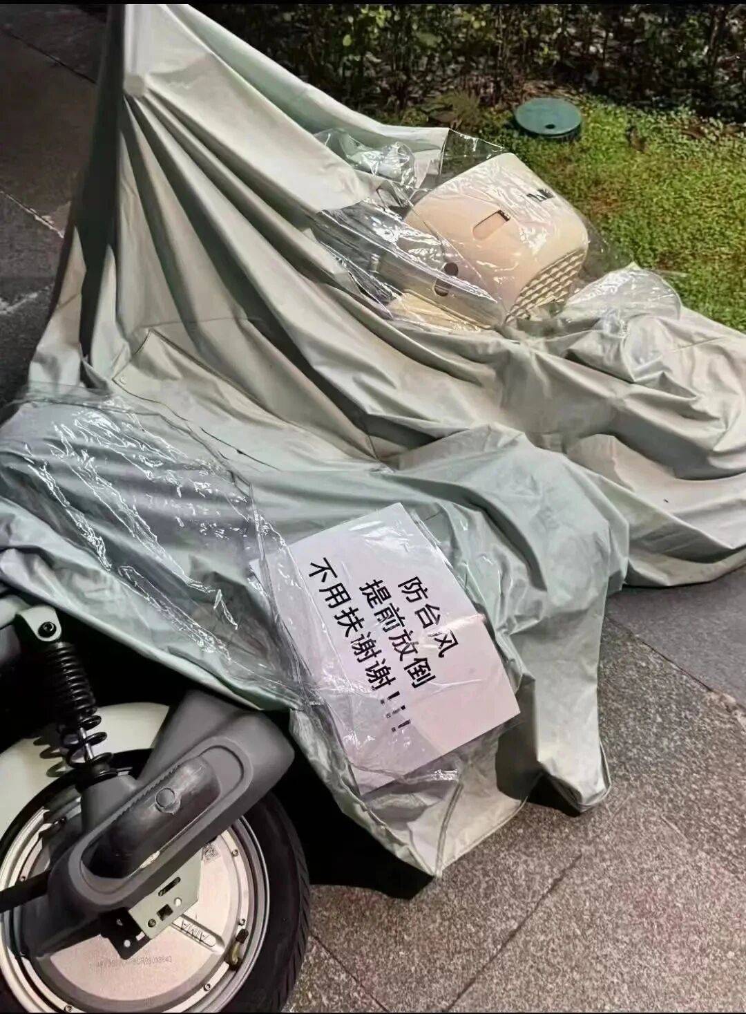 个头大过广东！谨防风王“桦加沙”，深圳人太硬核！这些务必码住