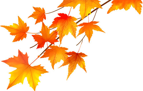 打卡内江丨@内江人，时候到了！