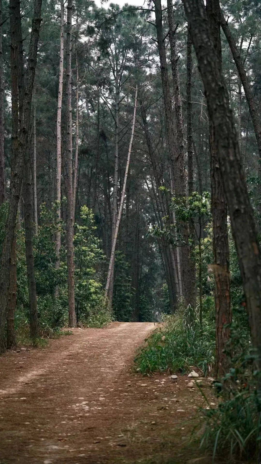 打卡内江丨@内江人，时候到了！