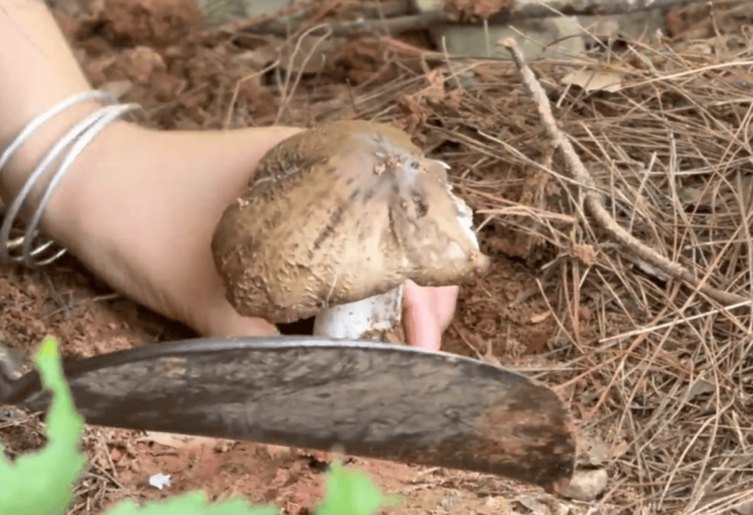 打卡内江丨@内江人，时候到了！