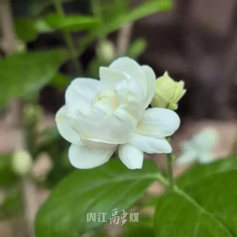 打卡内江丨@内江人，时候到了！