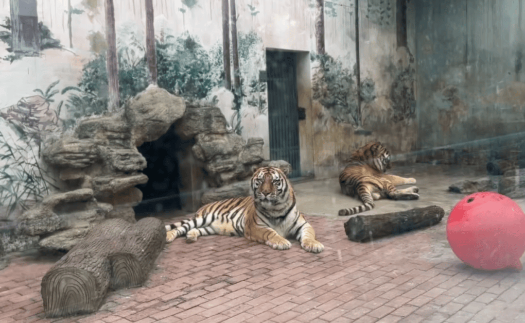 打卡内江丨@内江人，时候到了！