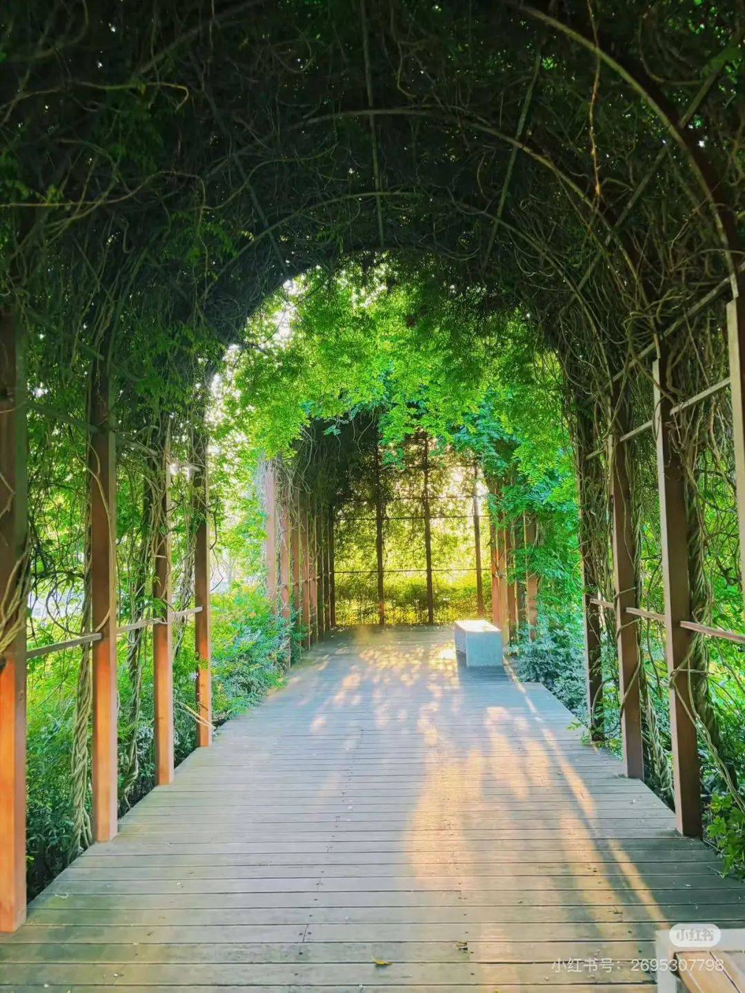 打卡内江丨@内江人，时候到了！