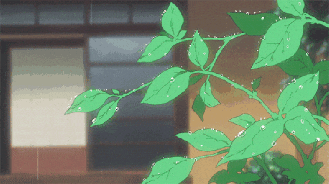 又要下雨了！内江最新预报