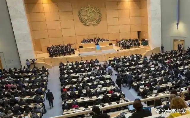 联合国总部迁建最新进展!地址确定,8月8日,全球瞩目新场所