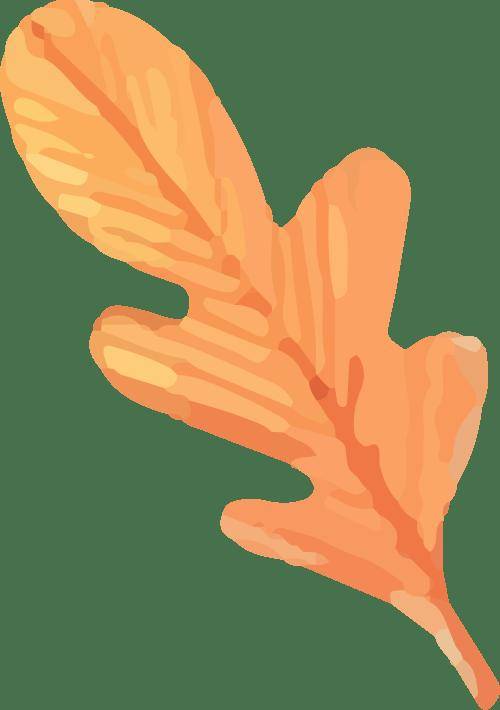 【讷河人直聘】招聘新媒体运营、客服专员