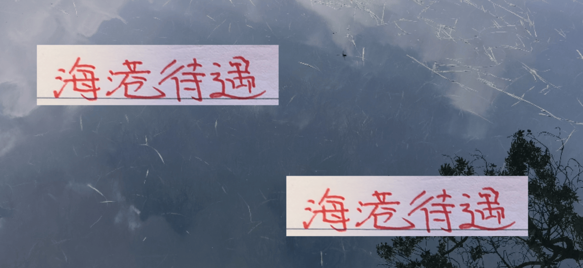 本轮上海海港待遇高 ！不仅有央视CCTV直播 同时还有洋货裁判执法