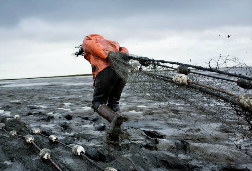 16年，上海保姆被骗到美国成女奴，被迫学狗爬行，受到非人待遇