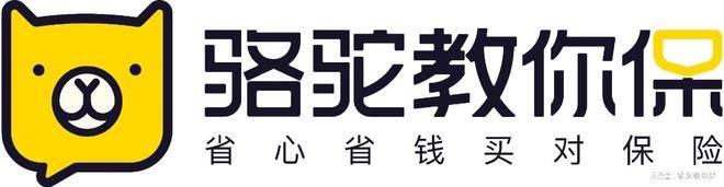 2026全国十大保险经纪公司权威排名|深度测评,投保避坑必看