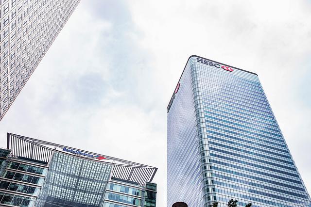 中信证券官网下载(中信证券官网下载流程)