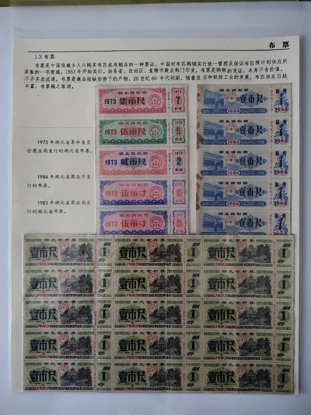 证券票是什么(什么是证劵股票)