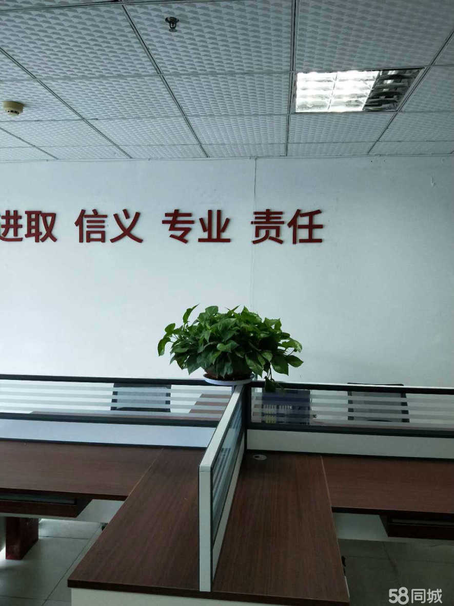 华林证券招聘(华林证券招聘官网柜台)